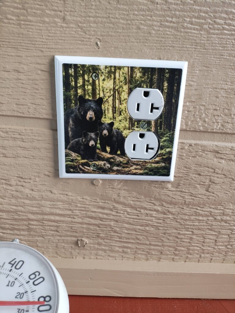 bear