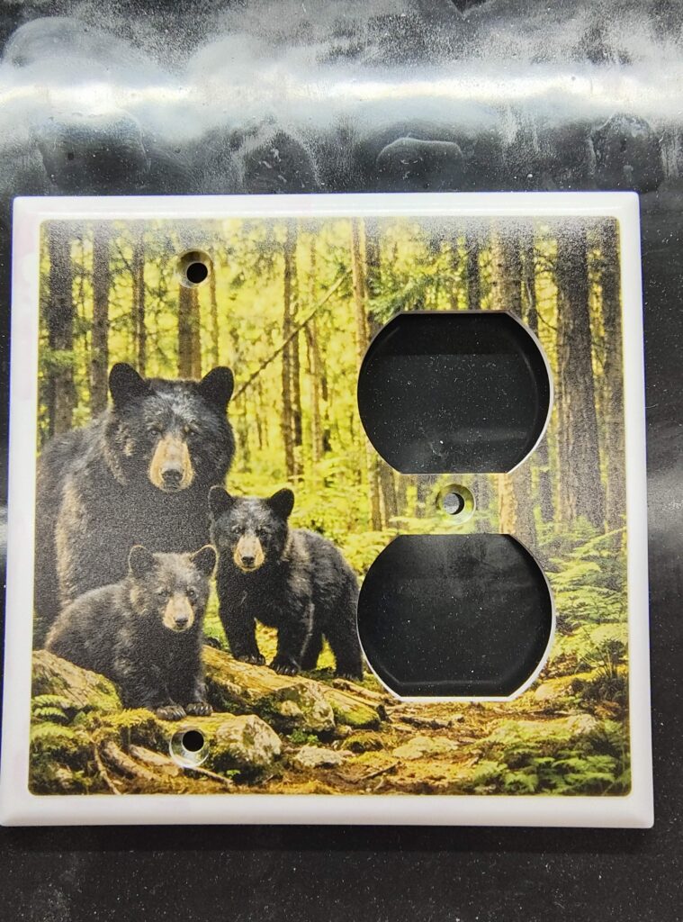 bear1